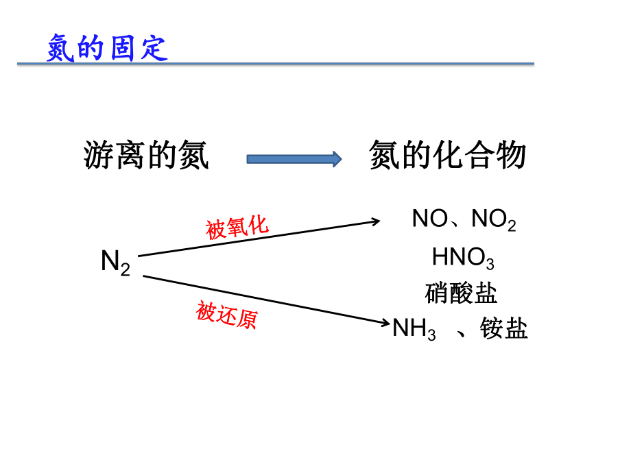 课件—氮的固定精品教育.ppt_第3页