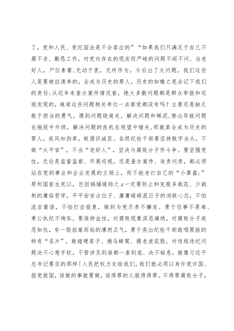 某纪检监察干部在纪检监察干部教育整顿研讨会上的学习研讨发言提纲.docx_第3页