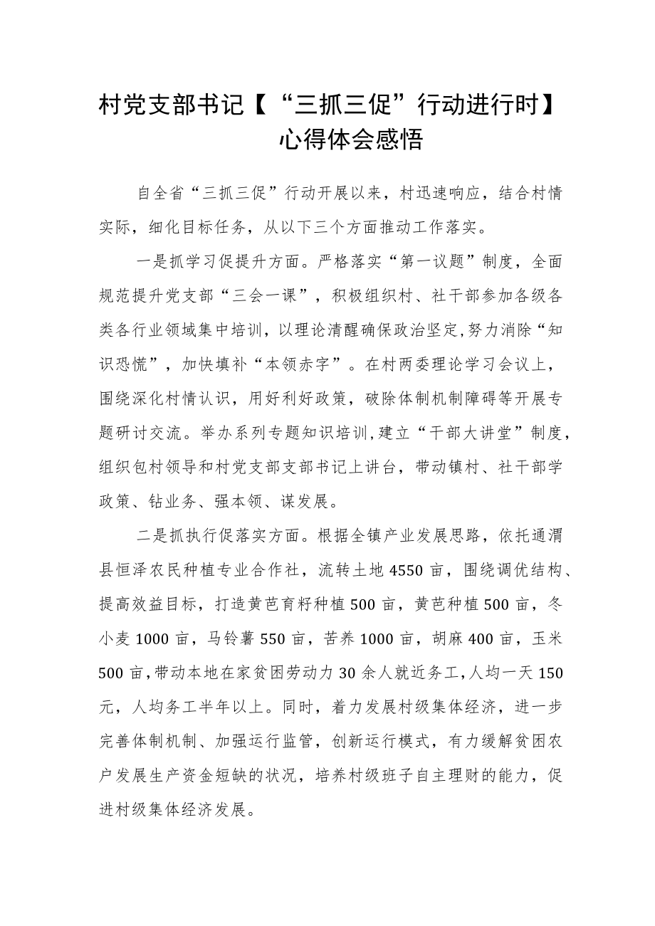 村党支部书记【“三抓三促”行动进行时】心得体会感悟.docx_第1页