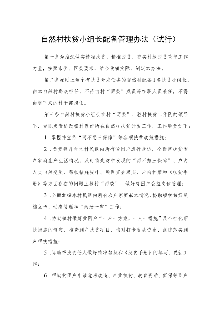 自然村扶贫小组长配备管理办法（试行）.docx_第1页