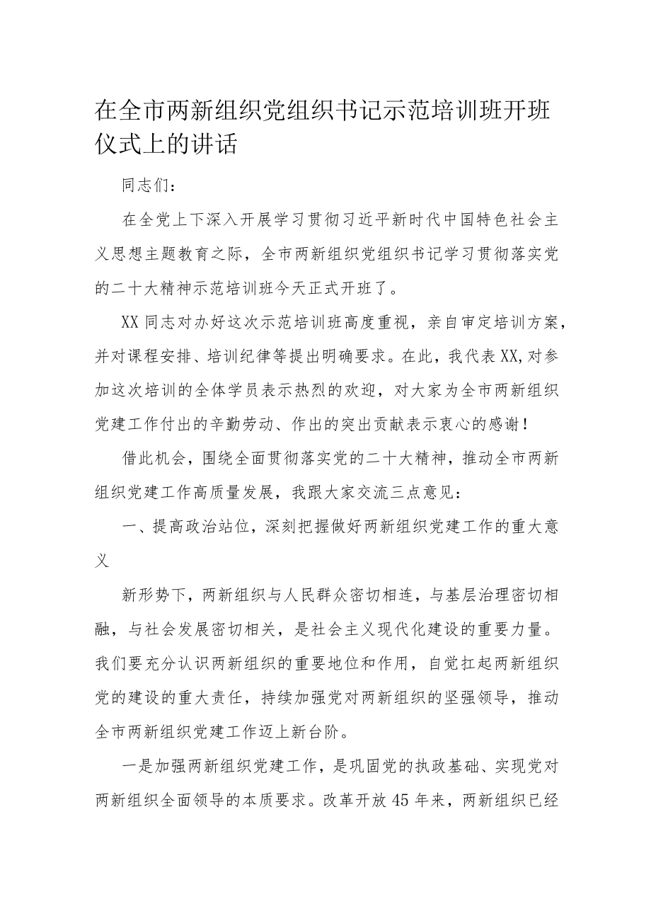 在全市两新组织党组织书记示范培训班开班仪式上的讲话.docx_第1页