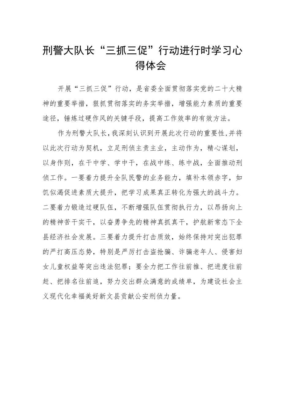 刑警大队长“三抓三促”行动进行时学习心得体会.docx_第1页