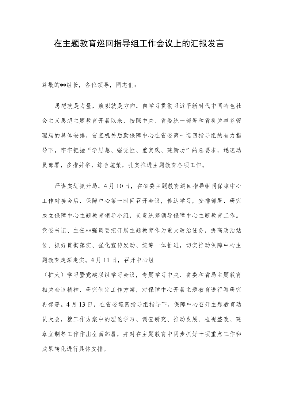 在主题教育巡回指导组工作会议上的汇报发言.docx_第1页