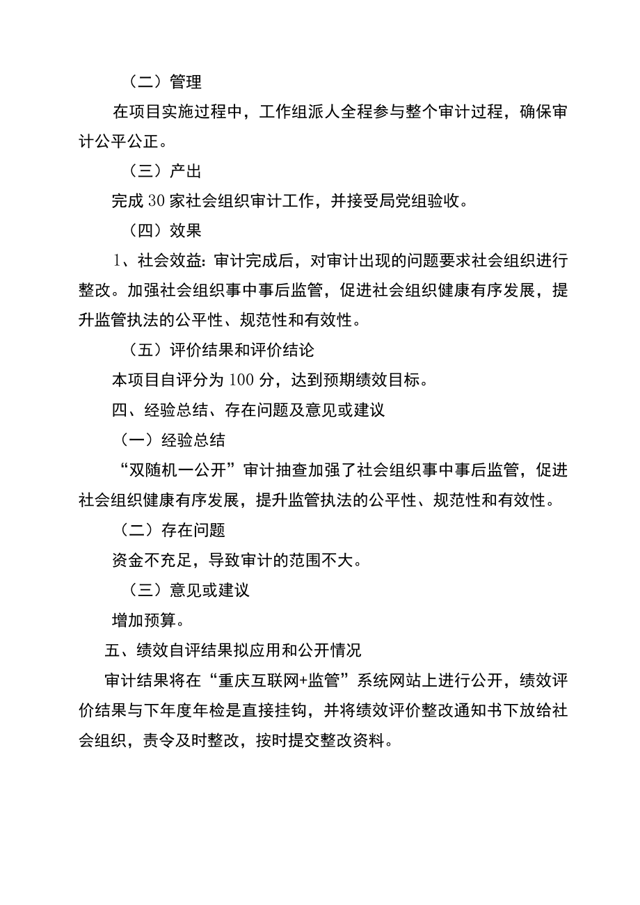 双随机一公开审计项目资金绩效目标自评报告.docx_第3页