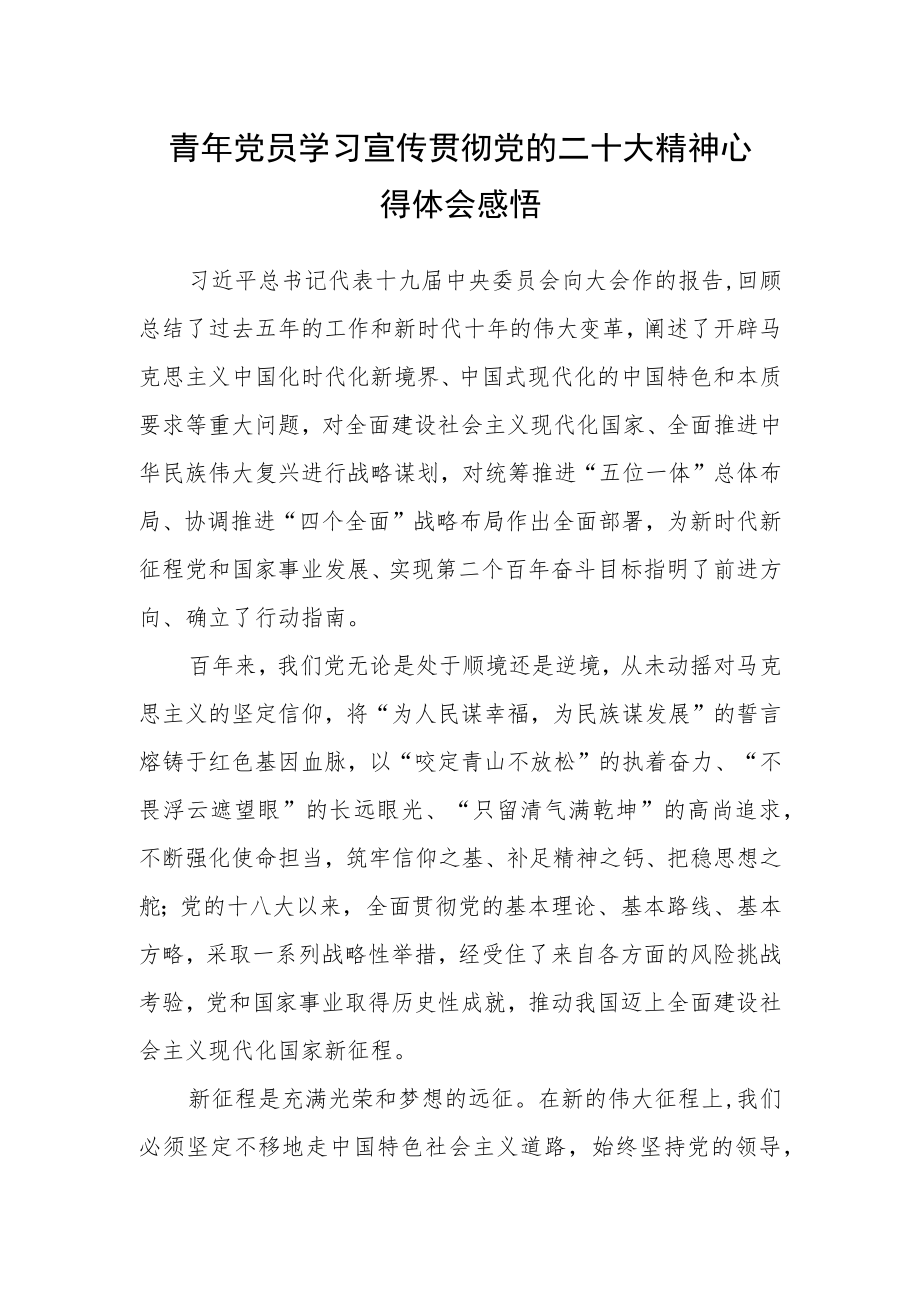 青年党员学习宣传贯彻党的二十大精神心得体会感悟.docx_第1页