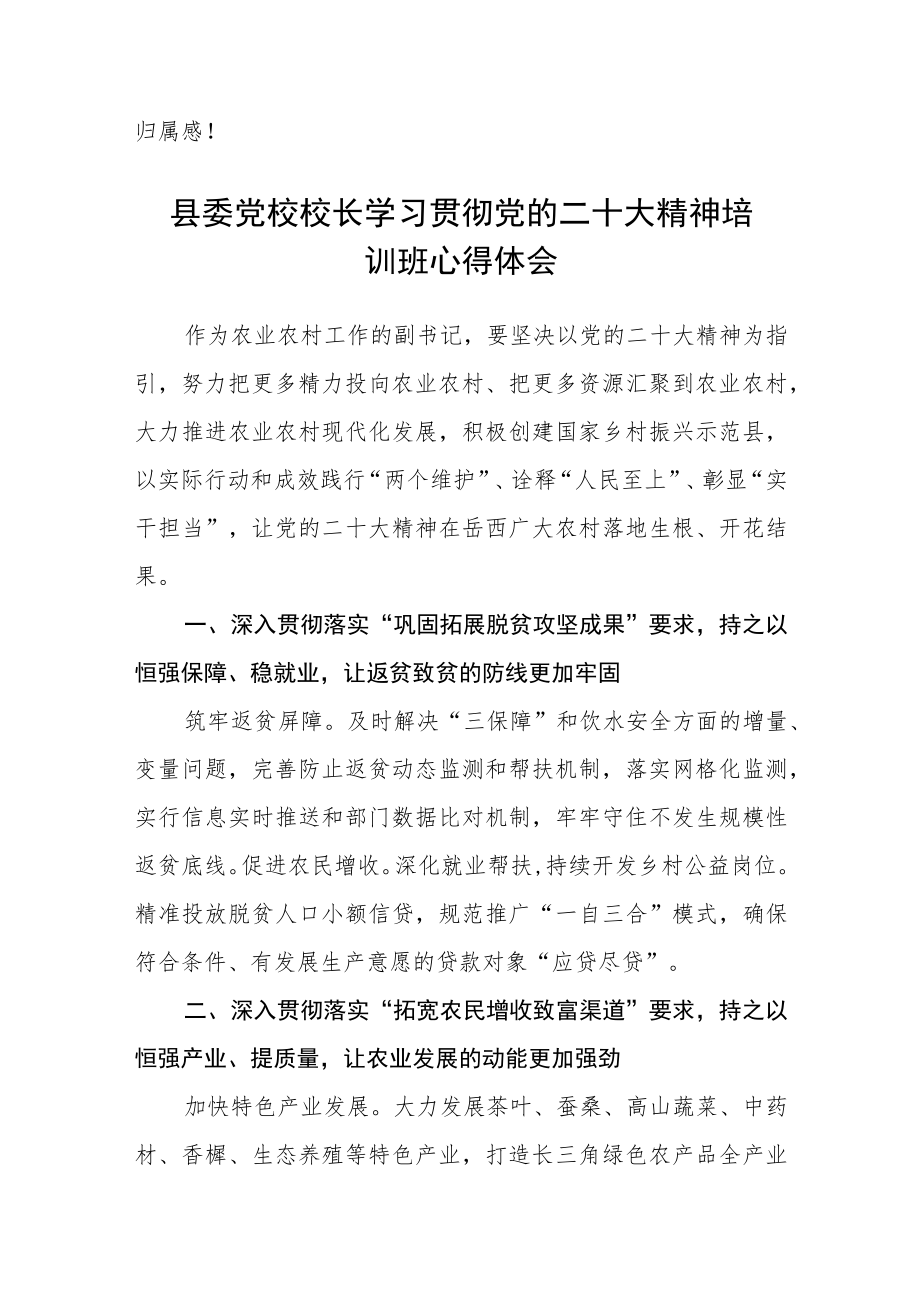 学校党支部书记、校长学习党的二十大心得体会范文(3篇).docx_第2页