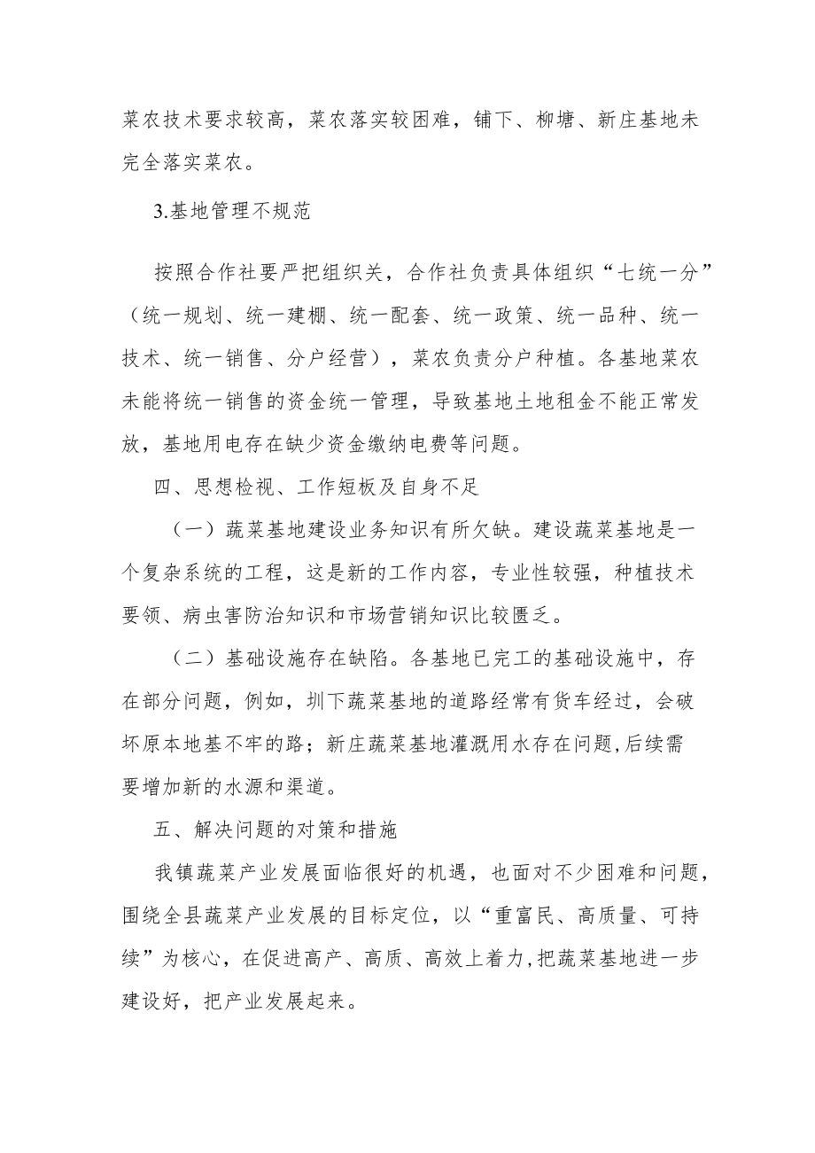 关于某镇蔬菜产业发展情况的调研报告.docx_第3页