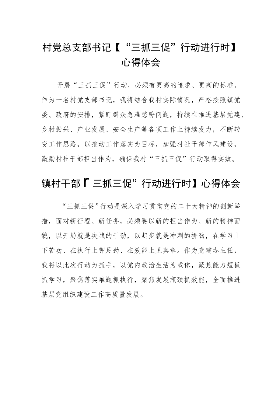 村党总支部书记【“三抓三促”行动进行时】心得体会范文(通用3篇).docx_第1页