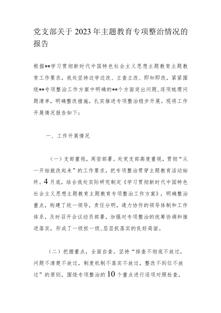 党支部关于2023年主题教育专项整治情况的报告.docx_第1页