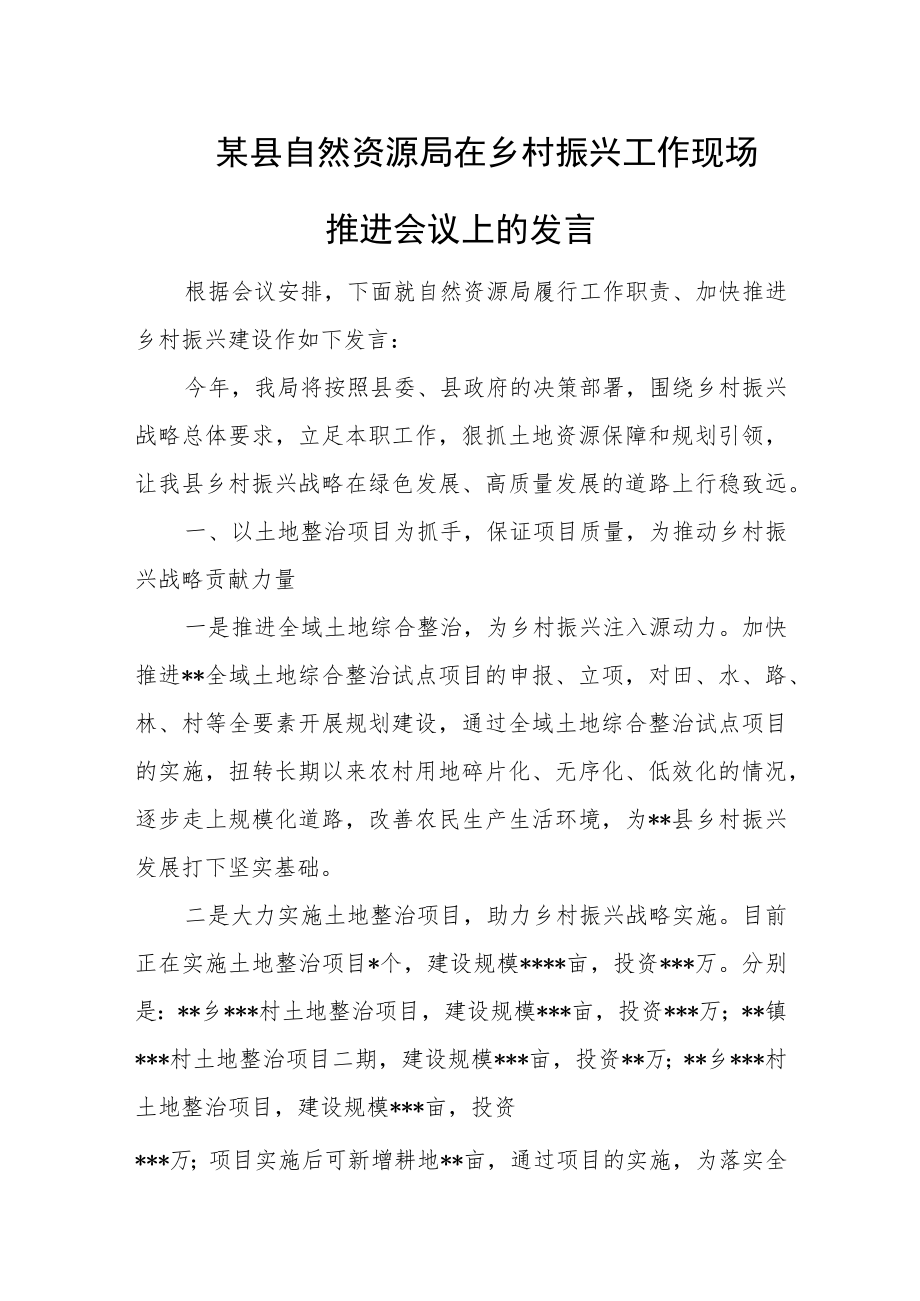 某县自然资源局在乡村振兴工作现场推进会议上的发言.docx_第1页