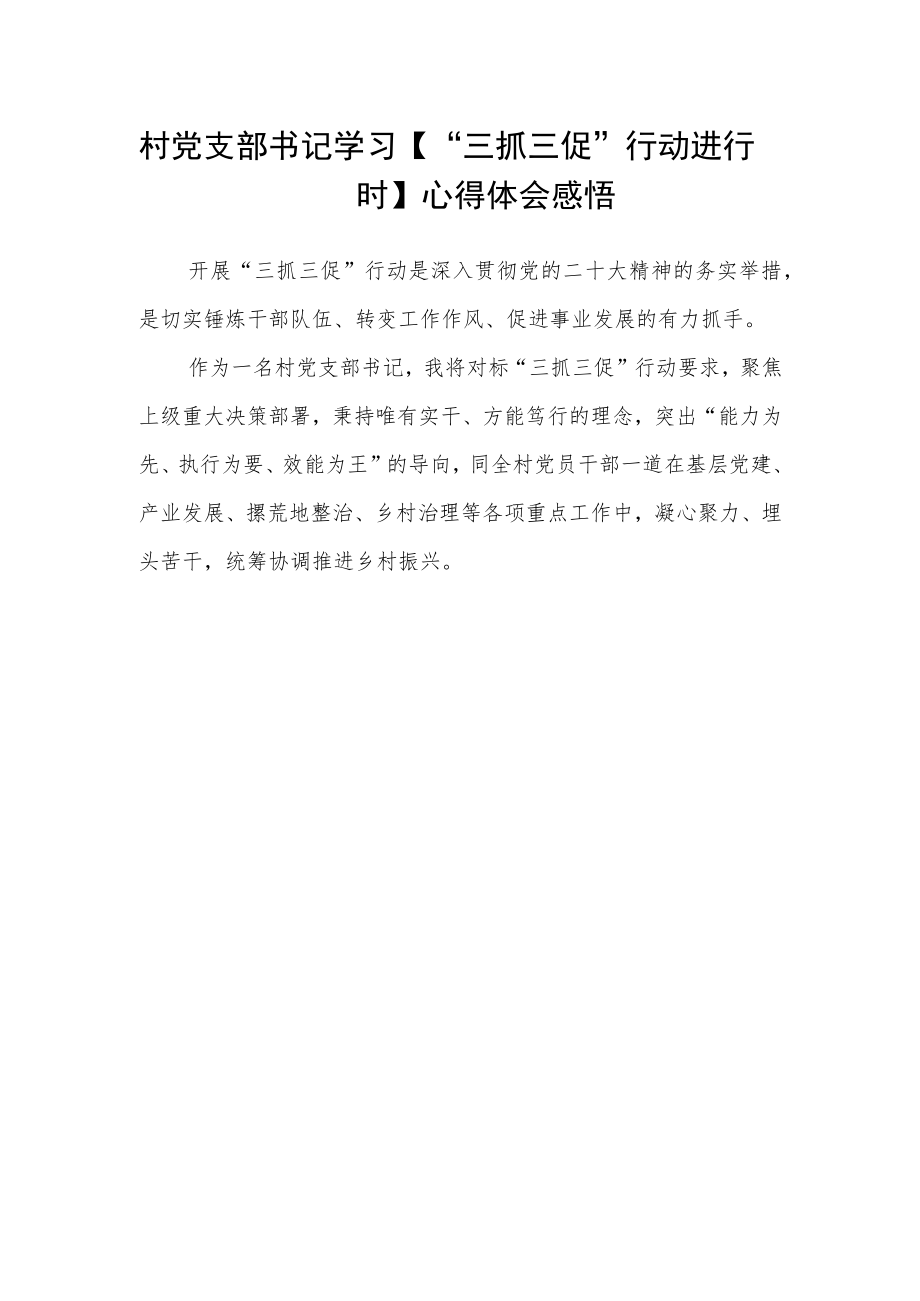 村党支部书记“三抓三促”行动心得体会范文(3篇).docx_第2页