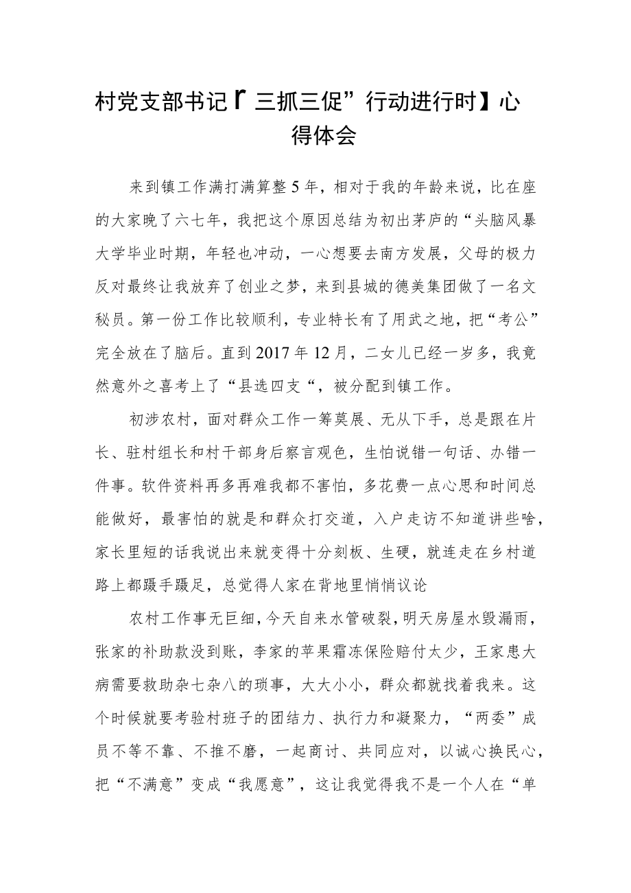 村党支部书记【“三抓三促”行动进行时】心得体会范文(通用3篇).docx_第1页