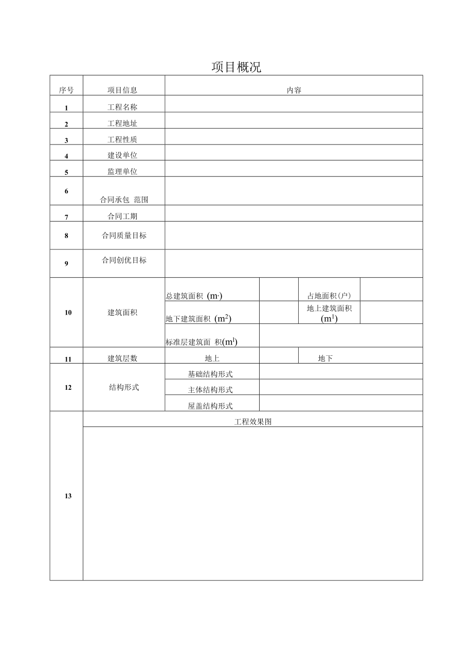 项目概况表（模板）.docx_第1页