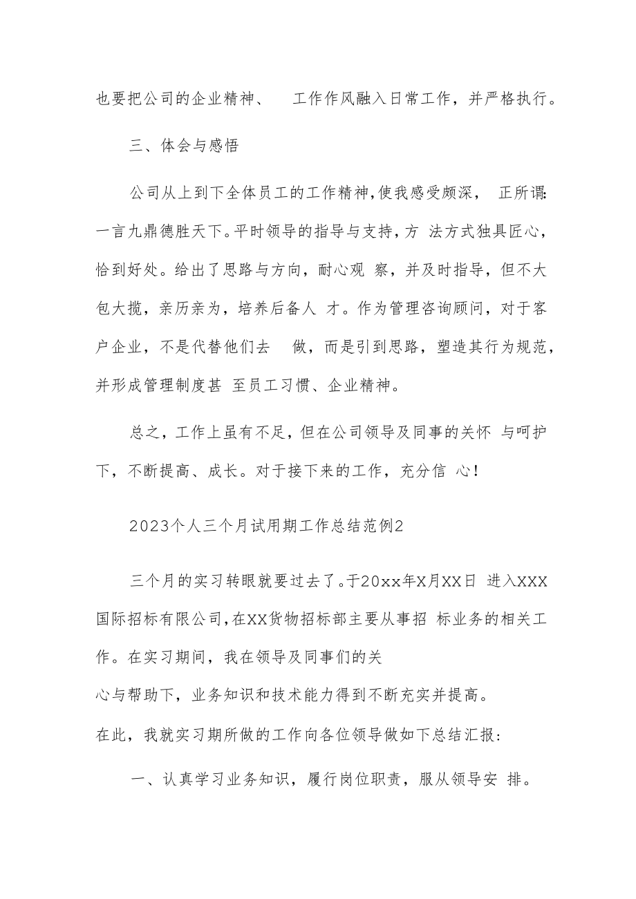 2023个人三个月试用期工作总结范例.docx_第2页