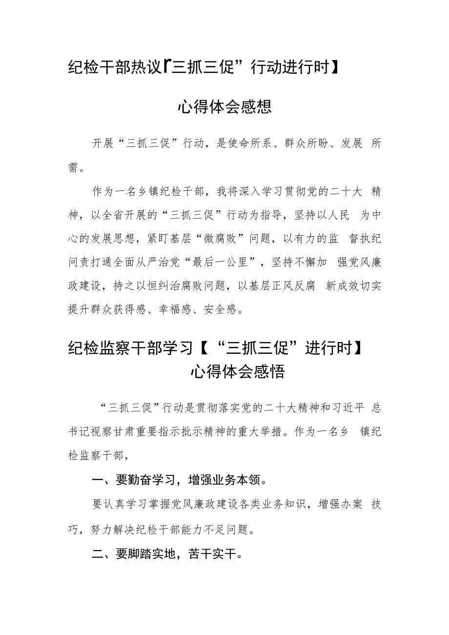 纪检监察机关【“三抓三促”行动进行时】心得体会合篇【三篇】.docx_第2页