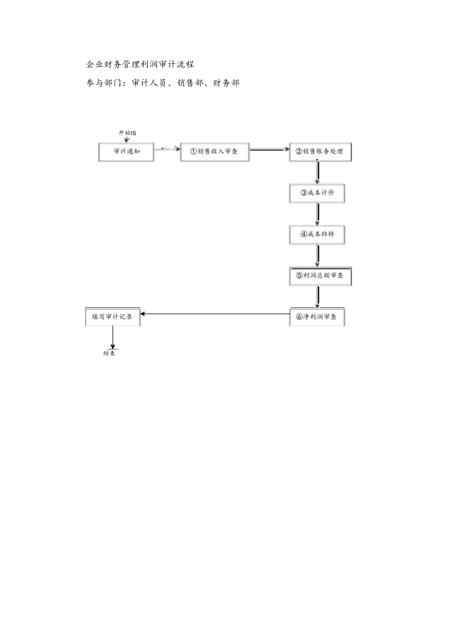 企业财务管理利润审计流程.docx_第1页