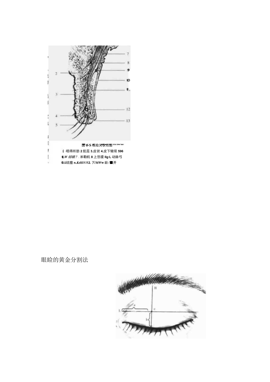 医疗美容项目重睑术知识课件.docx_第2页