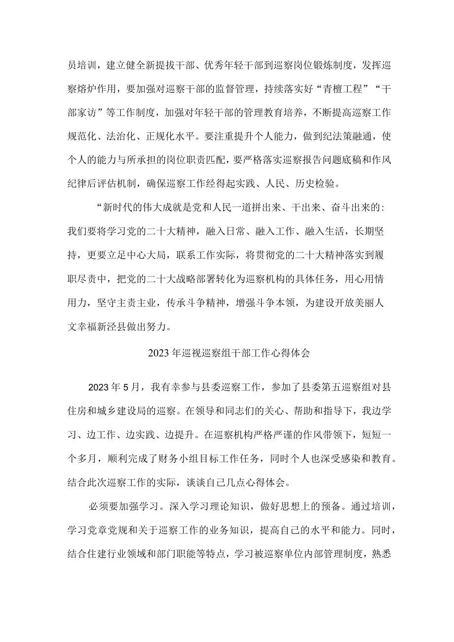 县委县政府2023年纪检巡察组巡检工作个人心得体会 （汇编10份）.docx_第3页