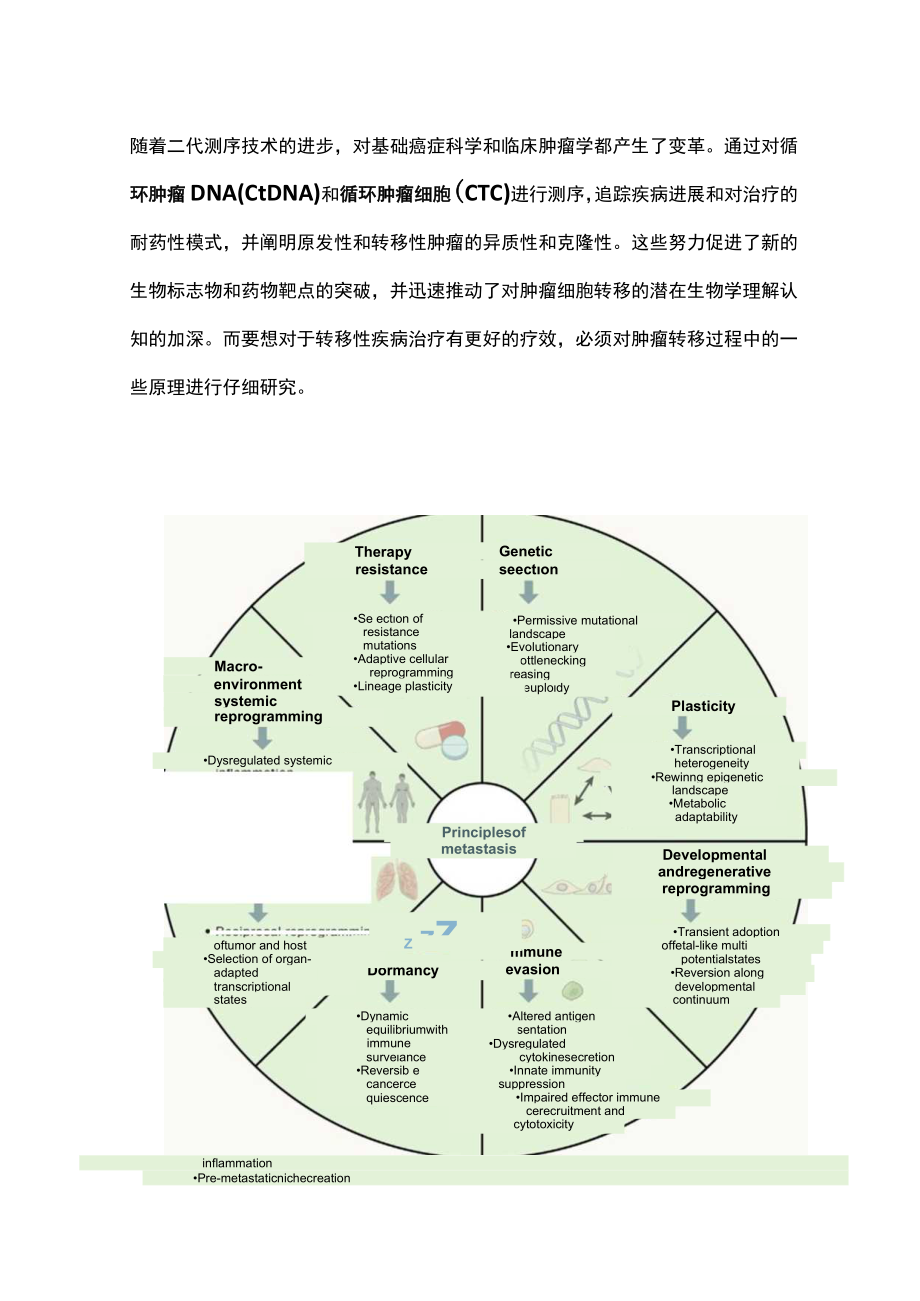 2023肿瘤转移的主要机制及治疗（全文）.docx_第3页