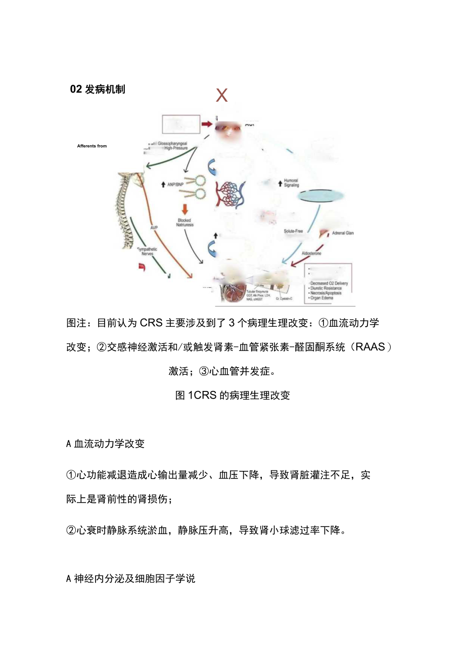 2023急诊心肾综合症的治疗策略（完整版）.docx_第3页