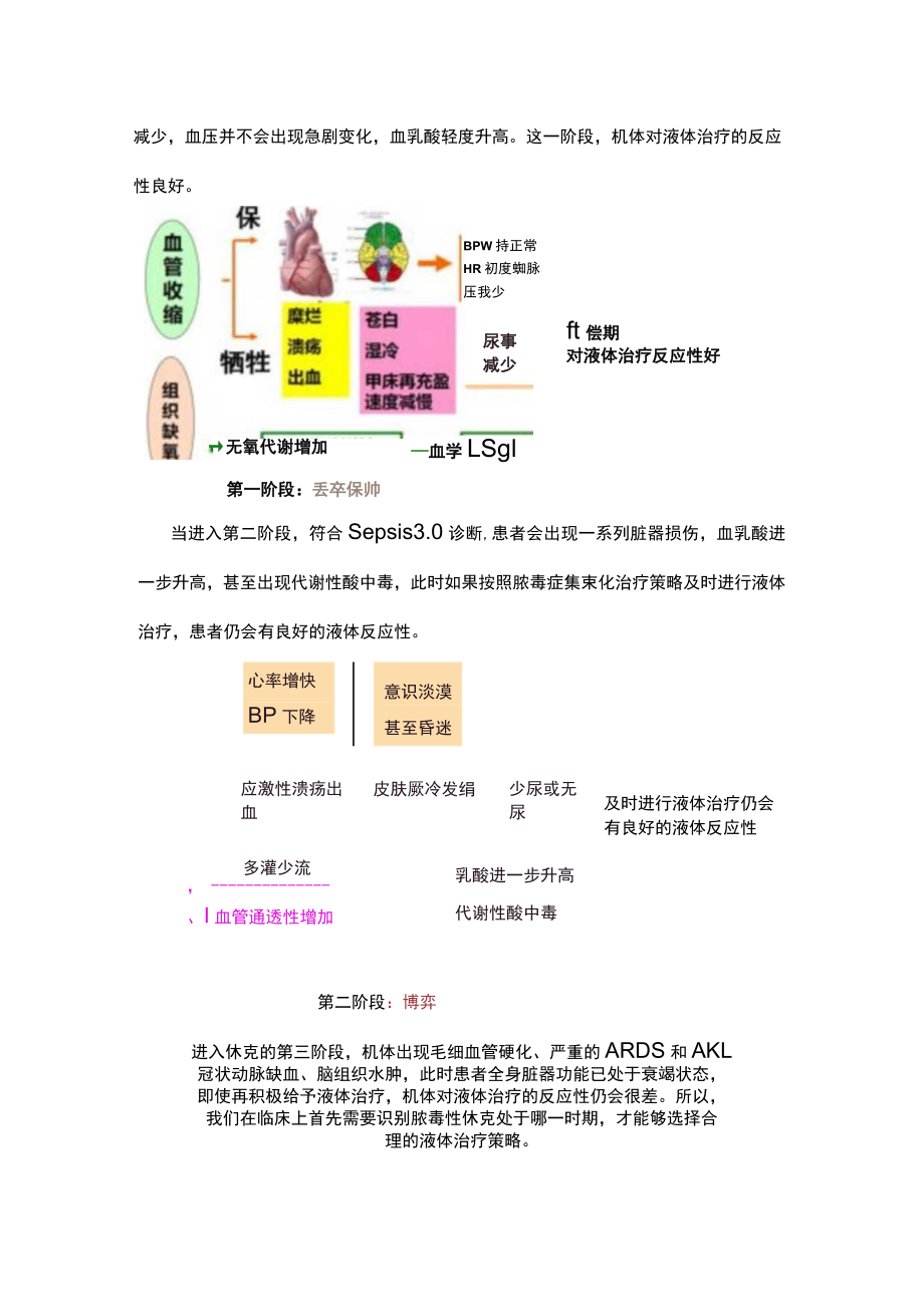 2023脓毒症个体化血流动力学管理（完整版）.docx_第3页