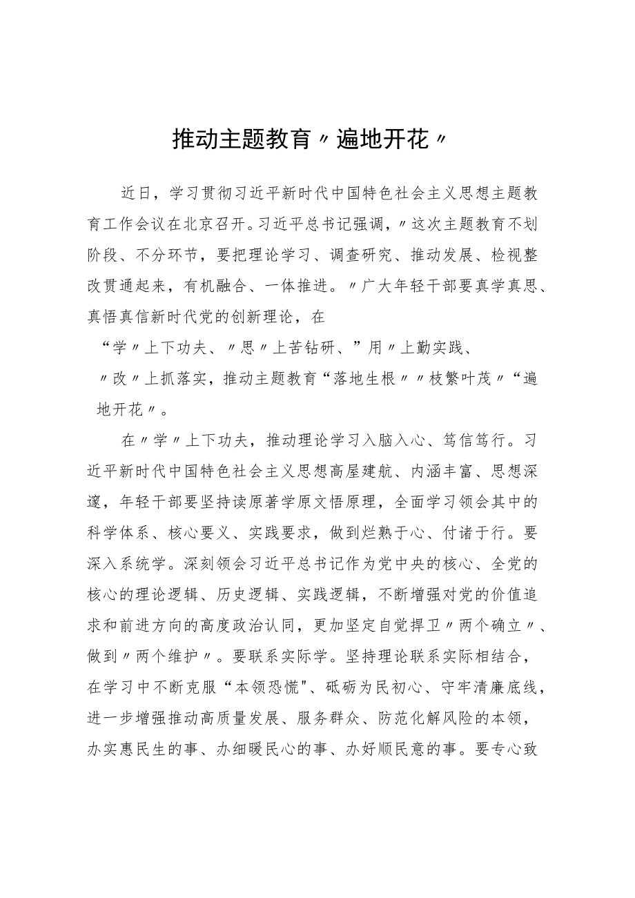 主题教育研讨发言：推动主题教育“遍地开花”.docx_第1页