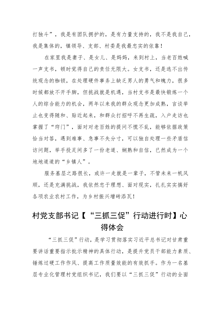 村党支部书记【“三抓三促”行动进行时】心得体会三篇.docx_第2页