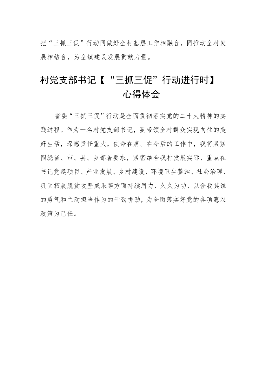 乡镇包村干部【“三抓三促”行动进行时】学习心得三篇.docx_第2页