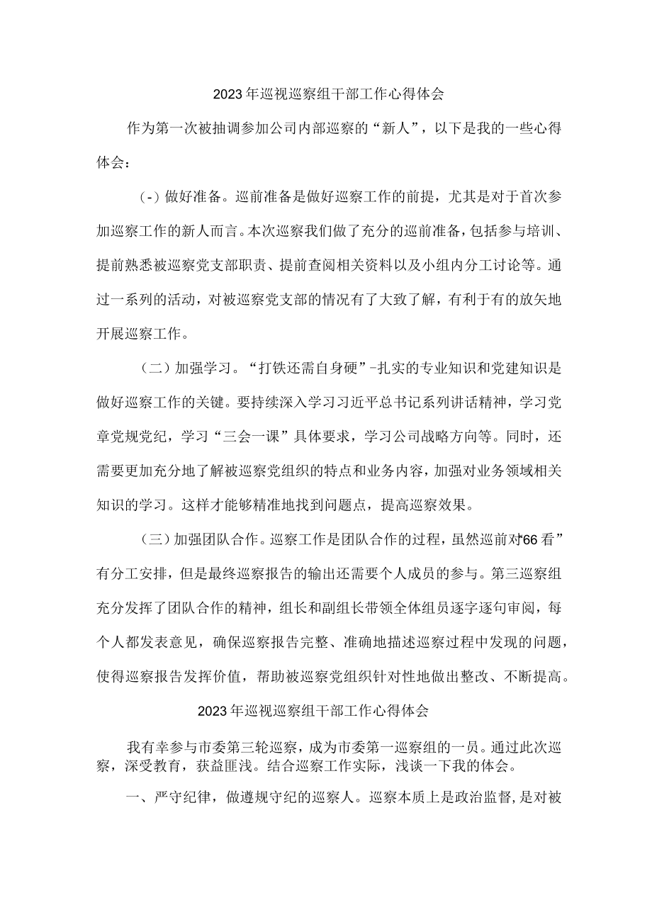 新区2023年纪检巡察组巡检工作心得体会 合计9份.docx_第1页