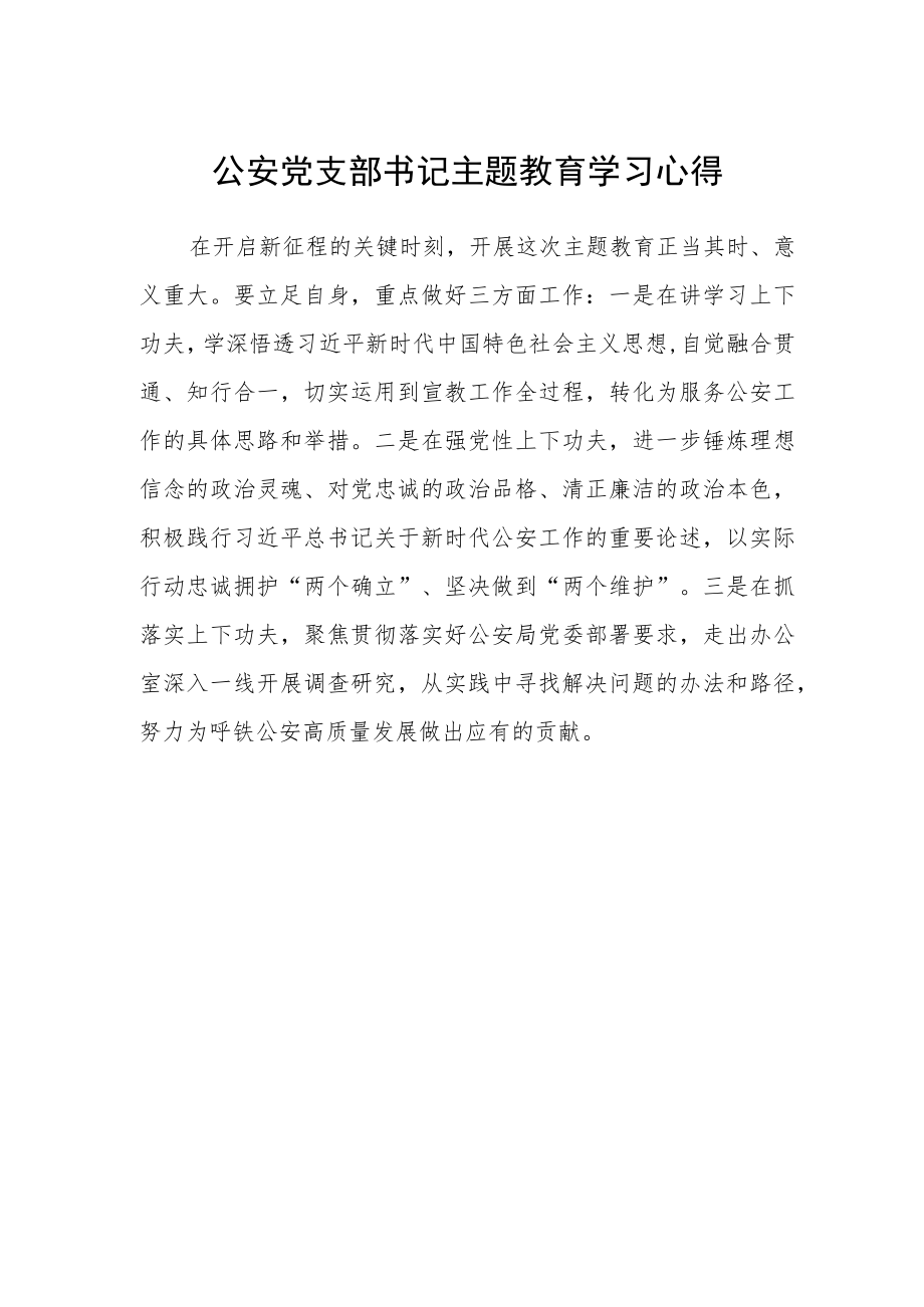 公安党支部书记主题教育学习心得.docx_第1页