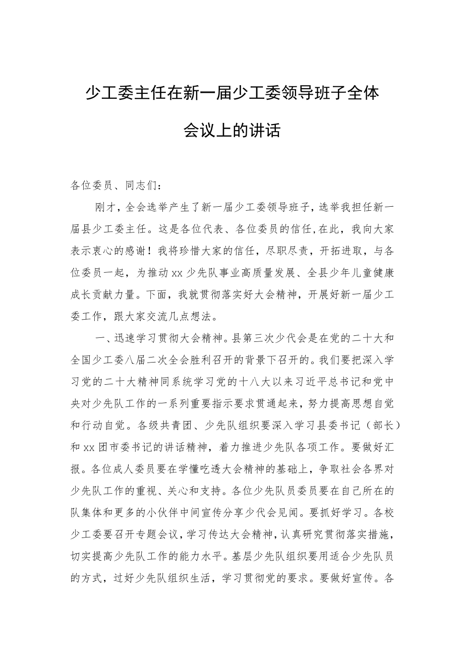 少工委主任在新一届少工委领导班子全体会议上的讲话.docx_第1页