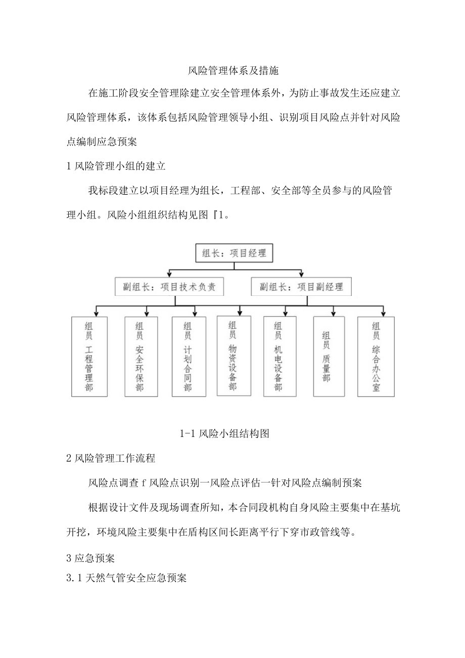 风险管理体系及措施.docx_第1页