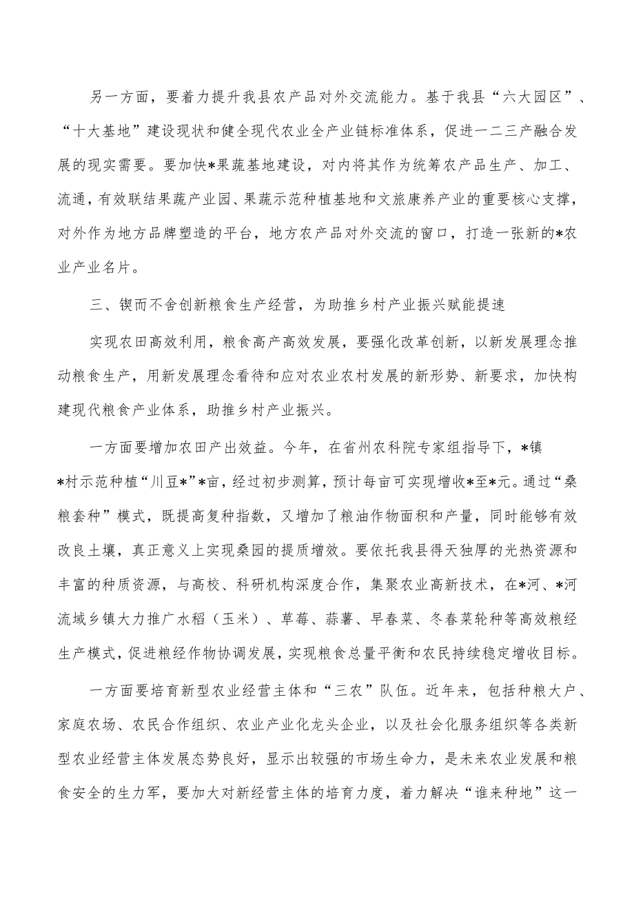 粮食产业乡村产业强调要求研讨发言.docx_第3页