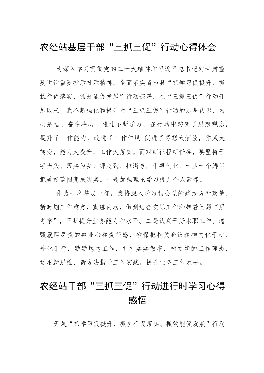 农经站基层干部“三抓三促”行动心得体会精选范文(3篇).docx_第1页