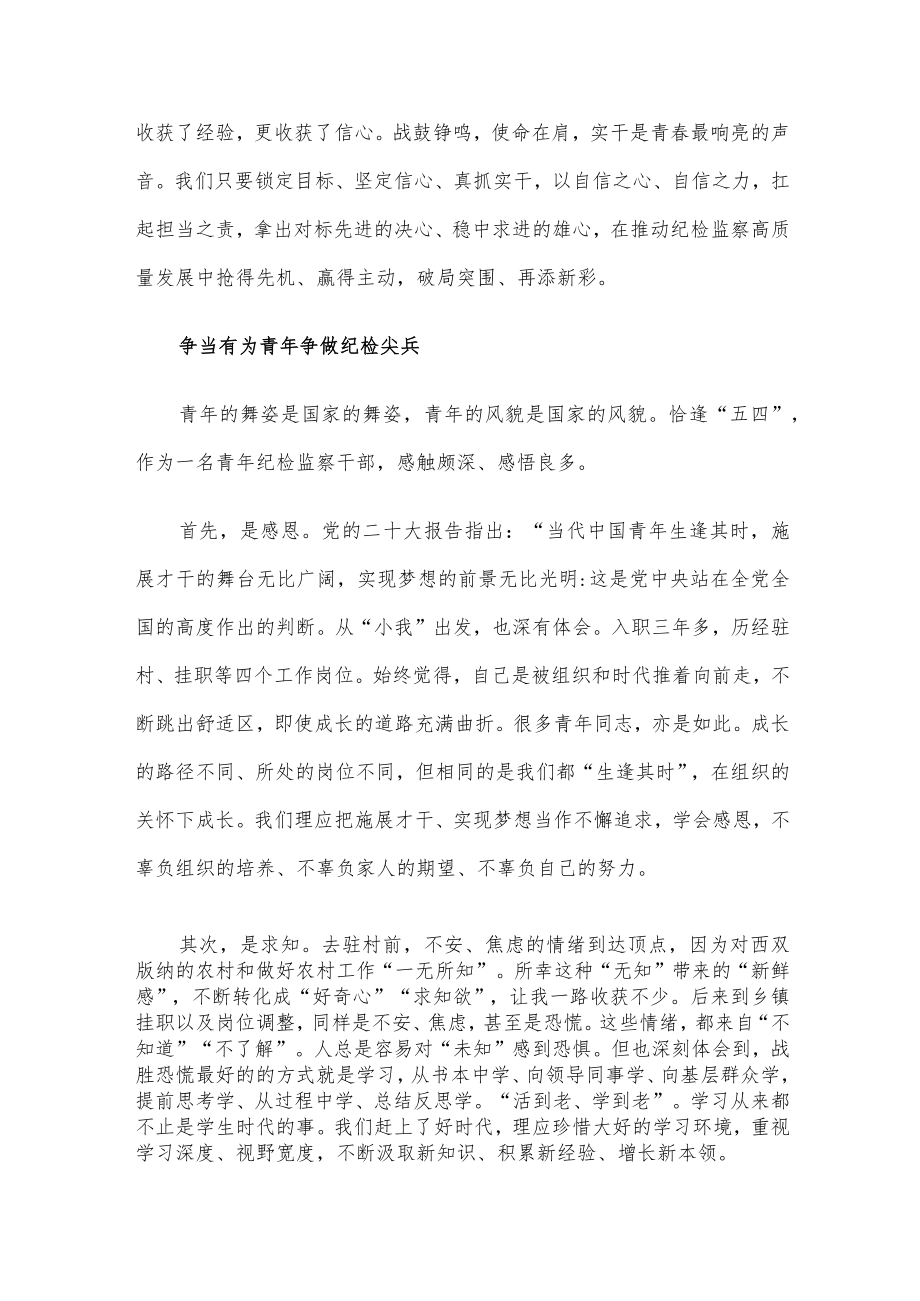 青年纪检监察干部交流发言汇编（2篇）.docx_第3页