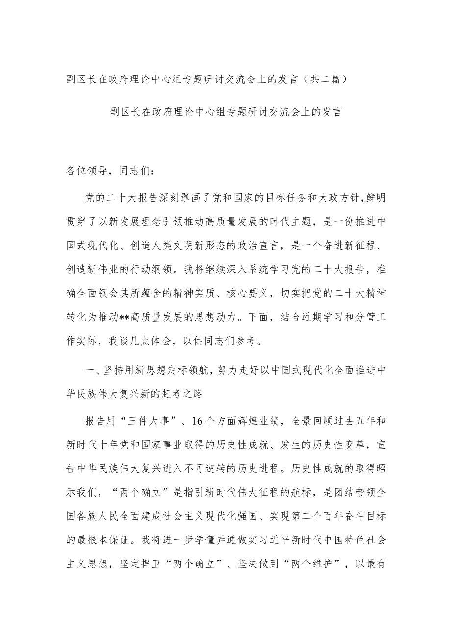 副区长在政府理论中心组专题研讨交流会上的发言(共二篇).docx_第1页