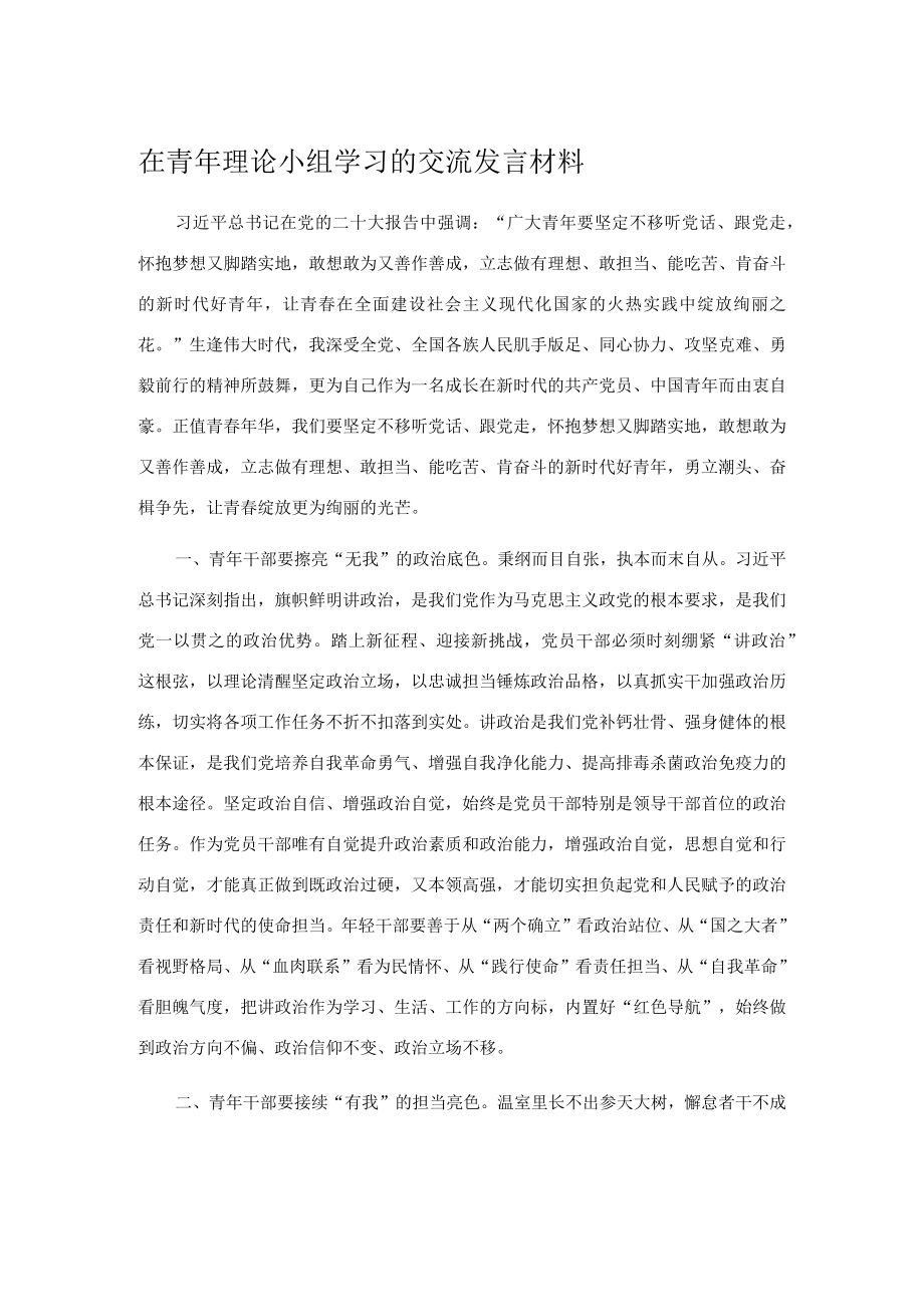 在青年理论小组学习的交流发言材料.docx_第1页