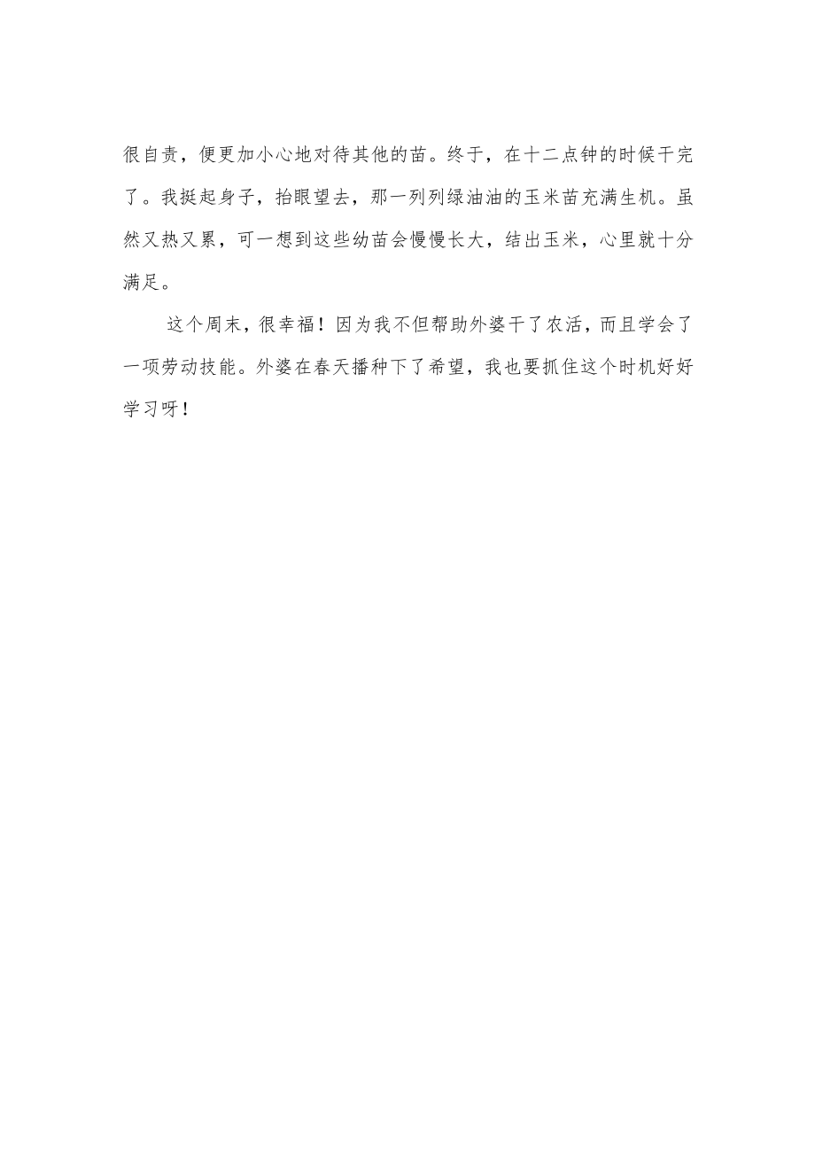 《我帮奶奶“放”玉米》作文700字.docx_第2页