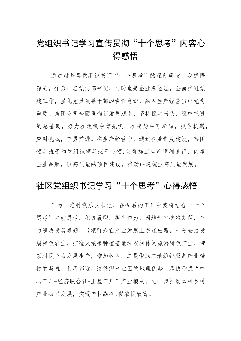 党组织书记学习宣传贯彻“十个思考”内容心得感悟(精选三篇).docx_第1页