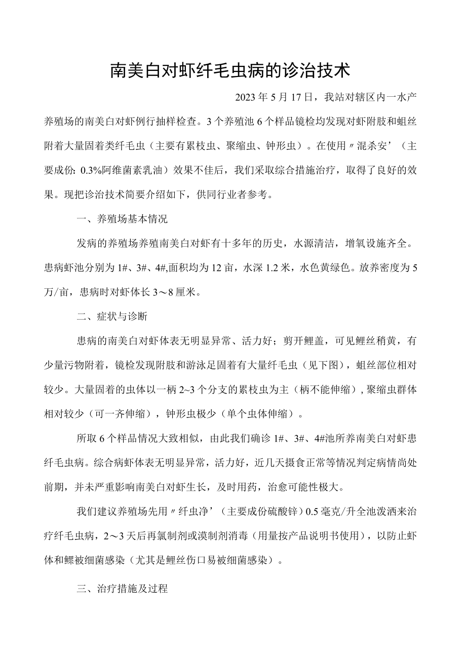 南美白对虾纤毛虫病的诊治技术.docx_第1页