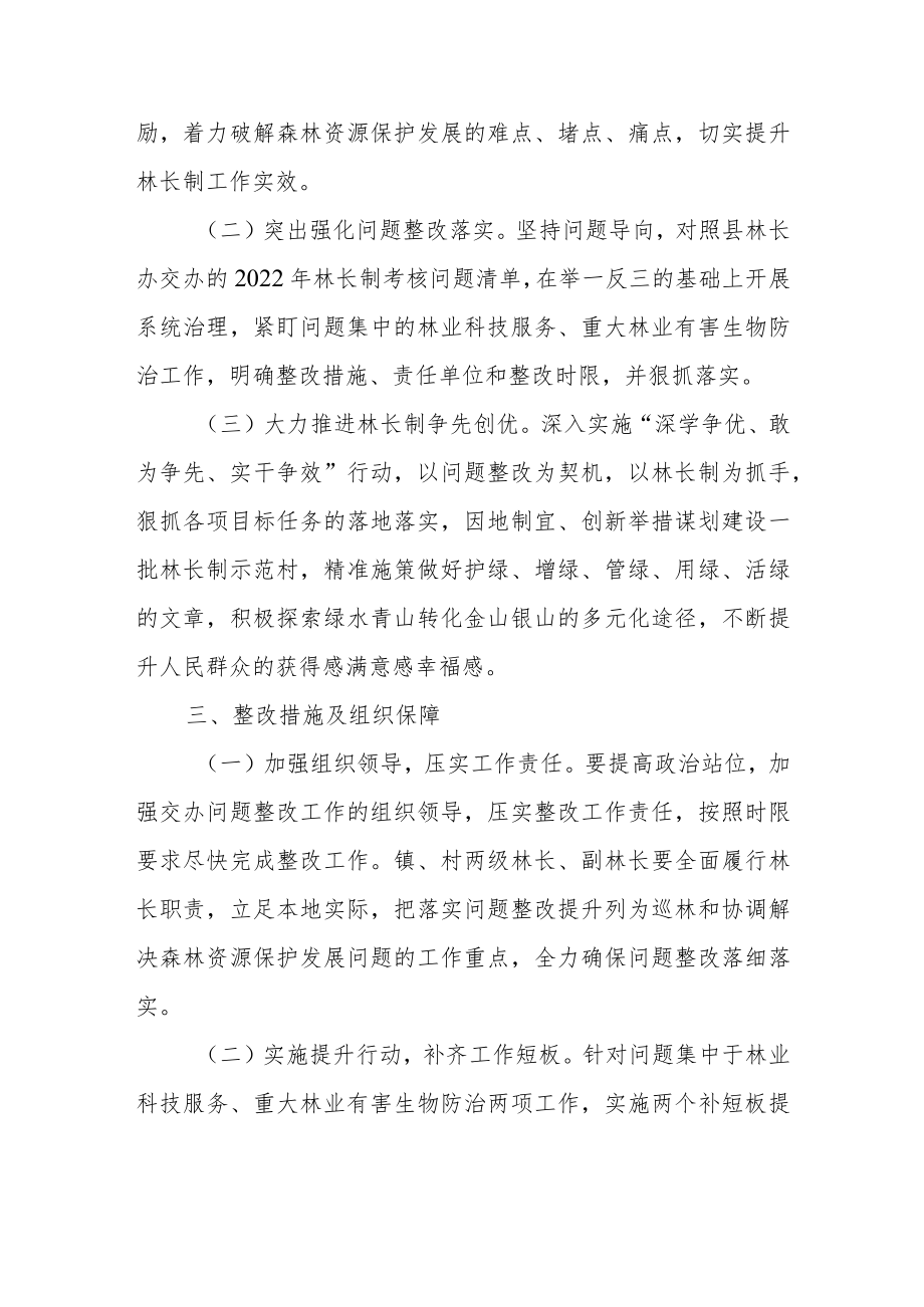 2022年林长制工作考核反馈问题整改方案.docx_第2页