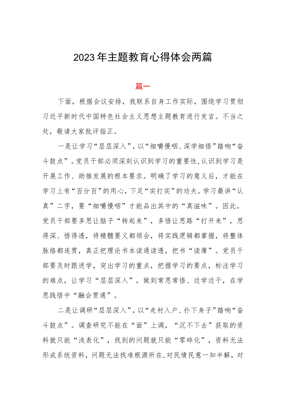 2023年主题教育心得体会两篇.docx_第1页