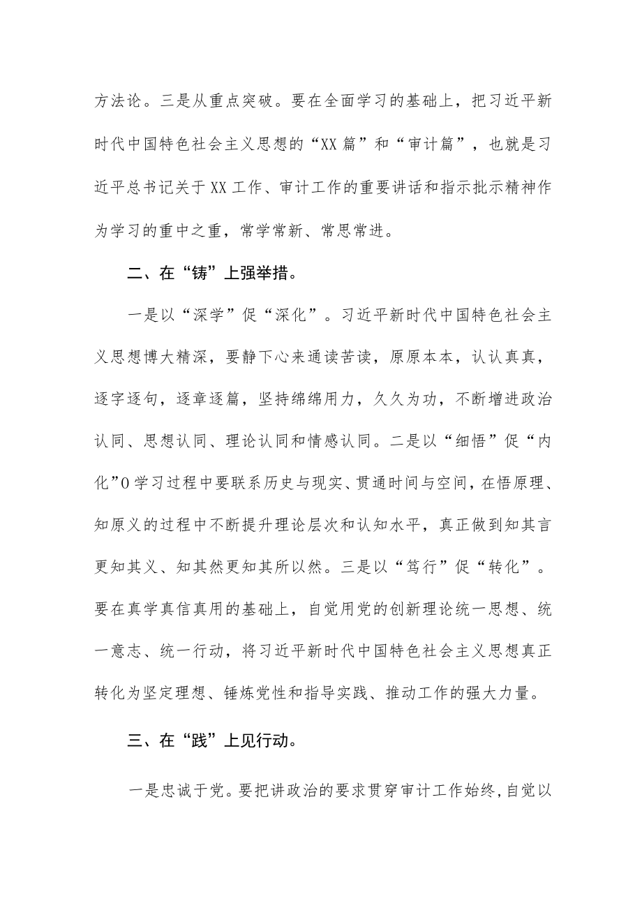 审计局开展2023年主题教育读书班专题研讨交流发言心得体会三篇.docx_第2页