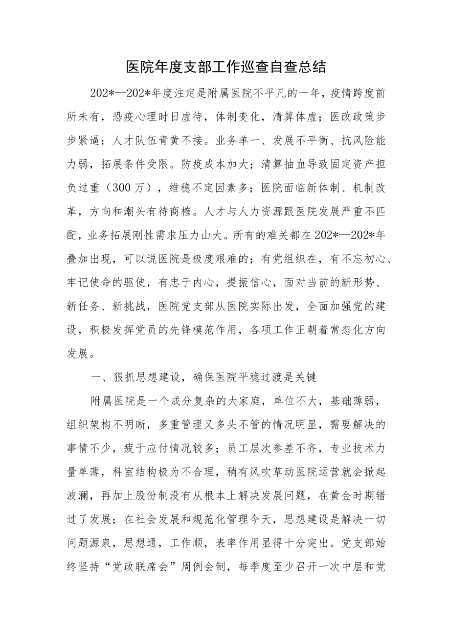 医院年度支部工作巡查自查总结.docx_第1页