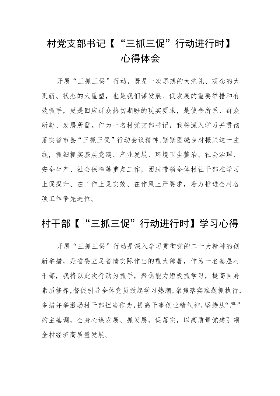 村干部【“三抓三促”行动进行时】学习心得精选范文(三篇).docx_第2页