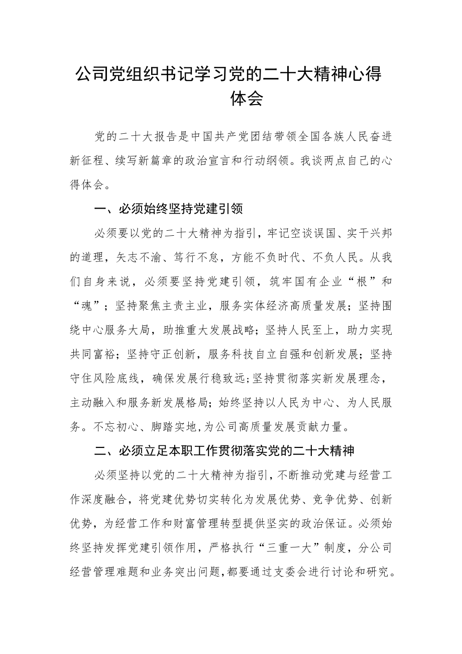 公司党组织书记学习党的二十大精神心得体会.docx_第1页