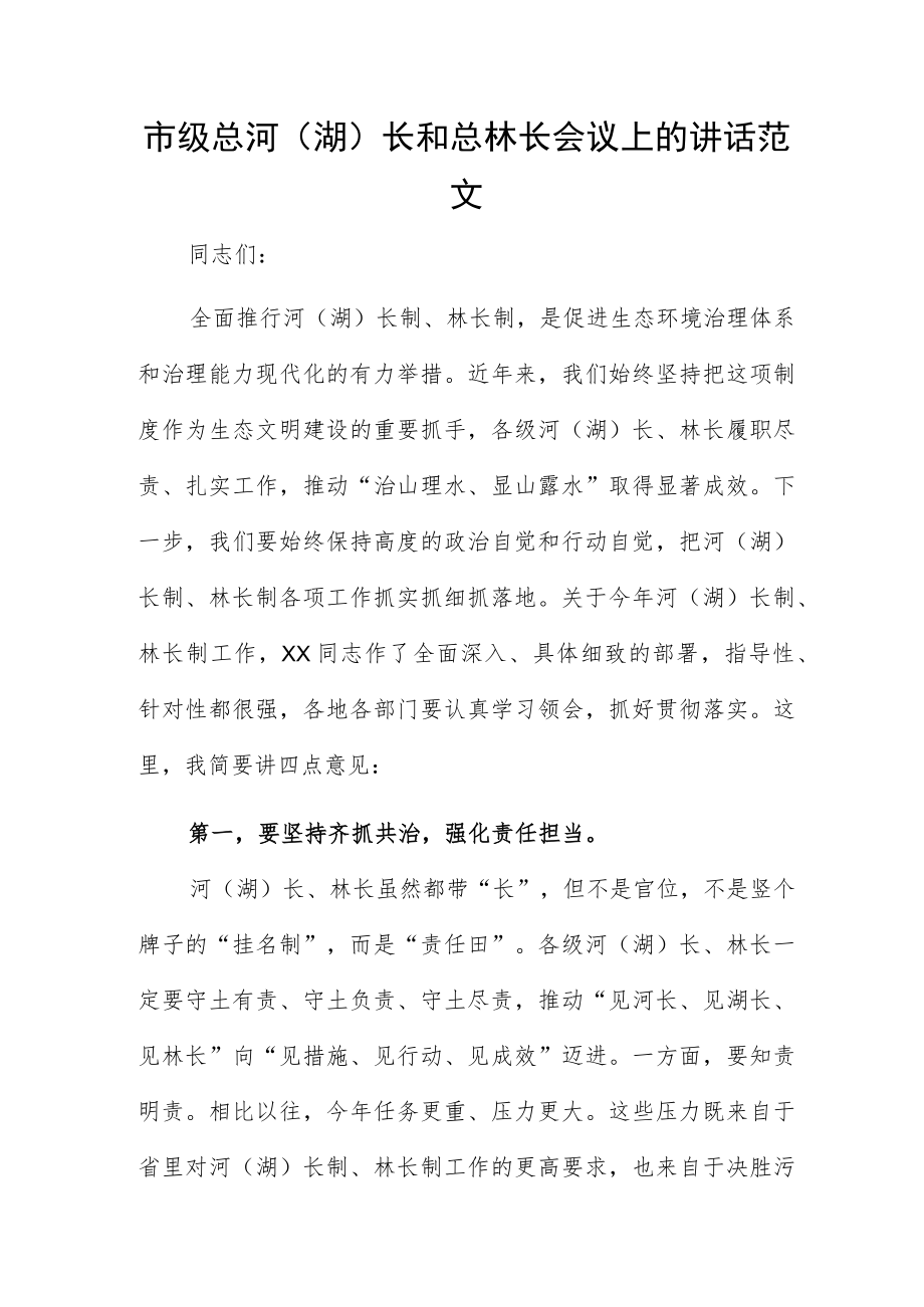 市级总河(湖)长和总林长会议上的讲话范文.docx_第1页