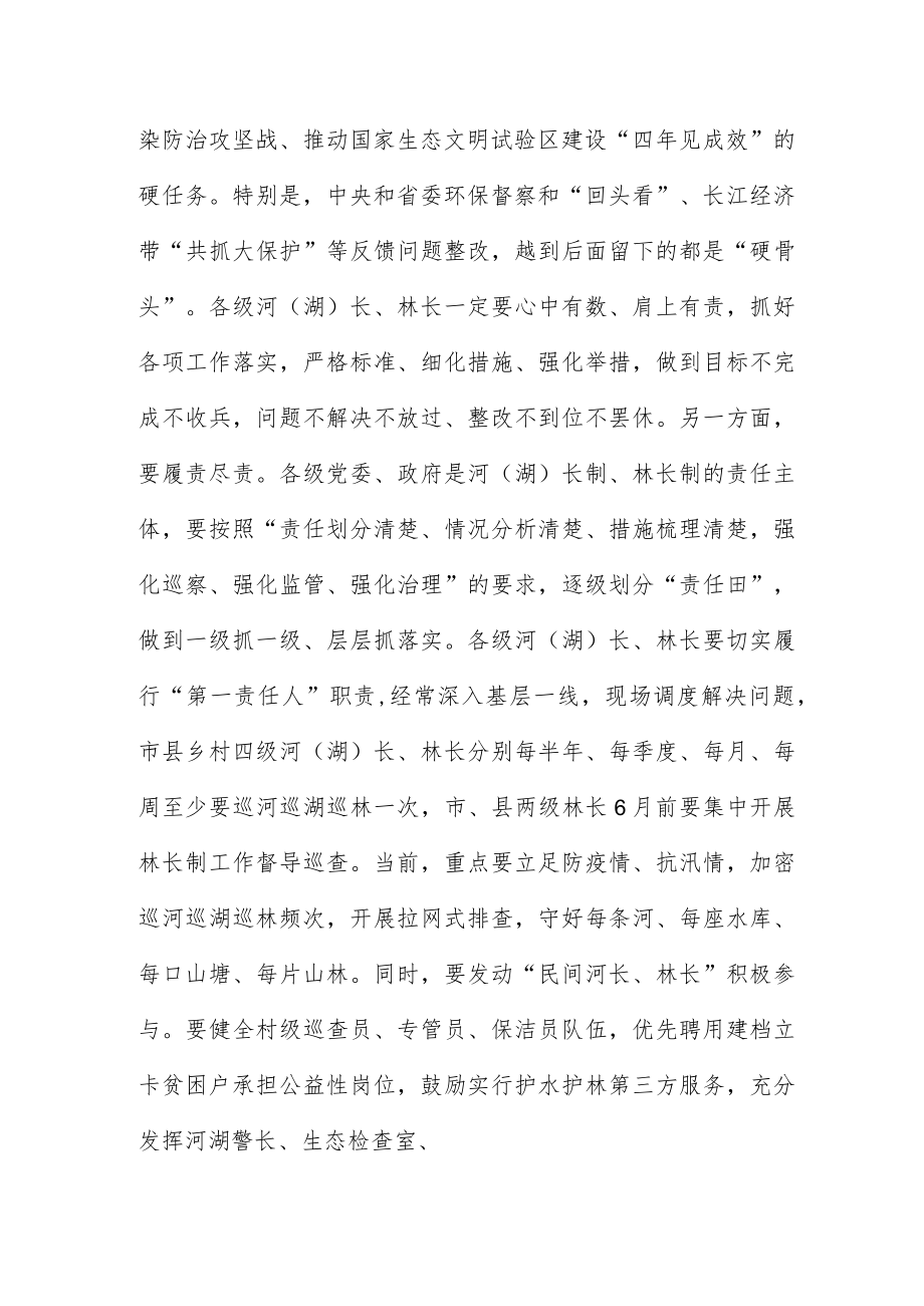 市级总河(湖)长和总林长会议上的讲话范文.docx_第2页