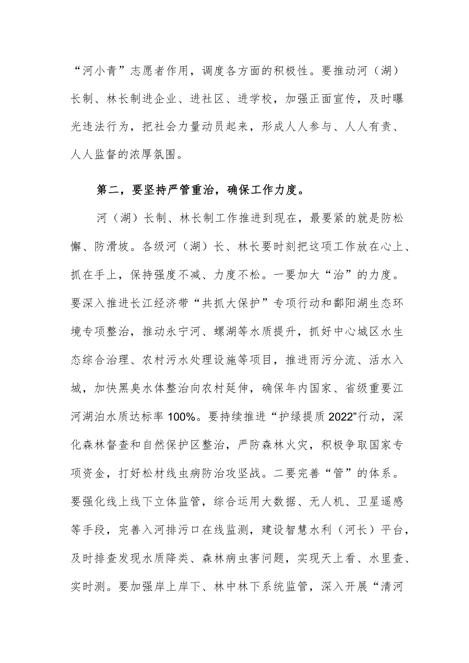 市级总河(湖)长和总林长会议上的讲话范文.docx_第3页