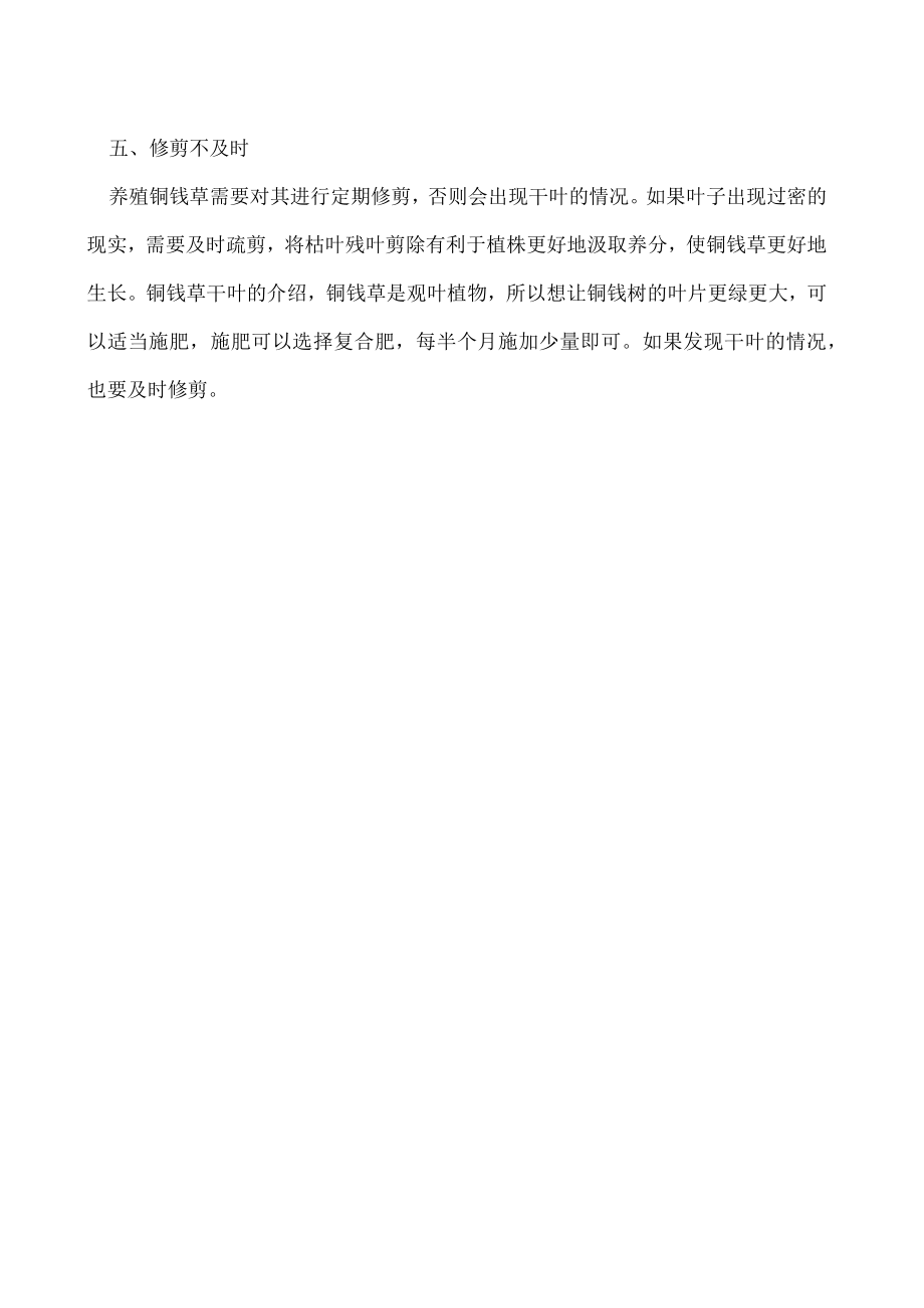 铜钱草干叶怎么回事.docx_第2页